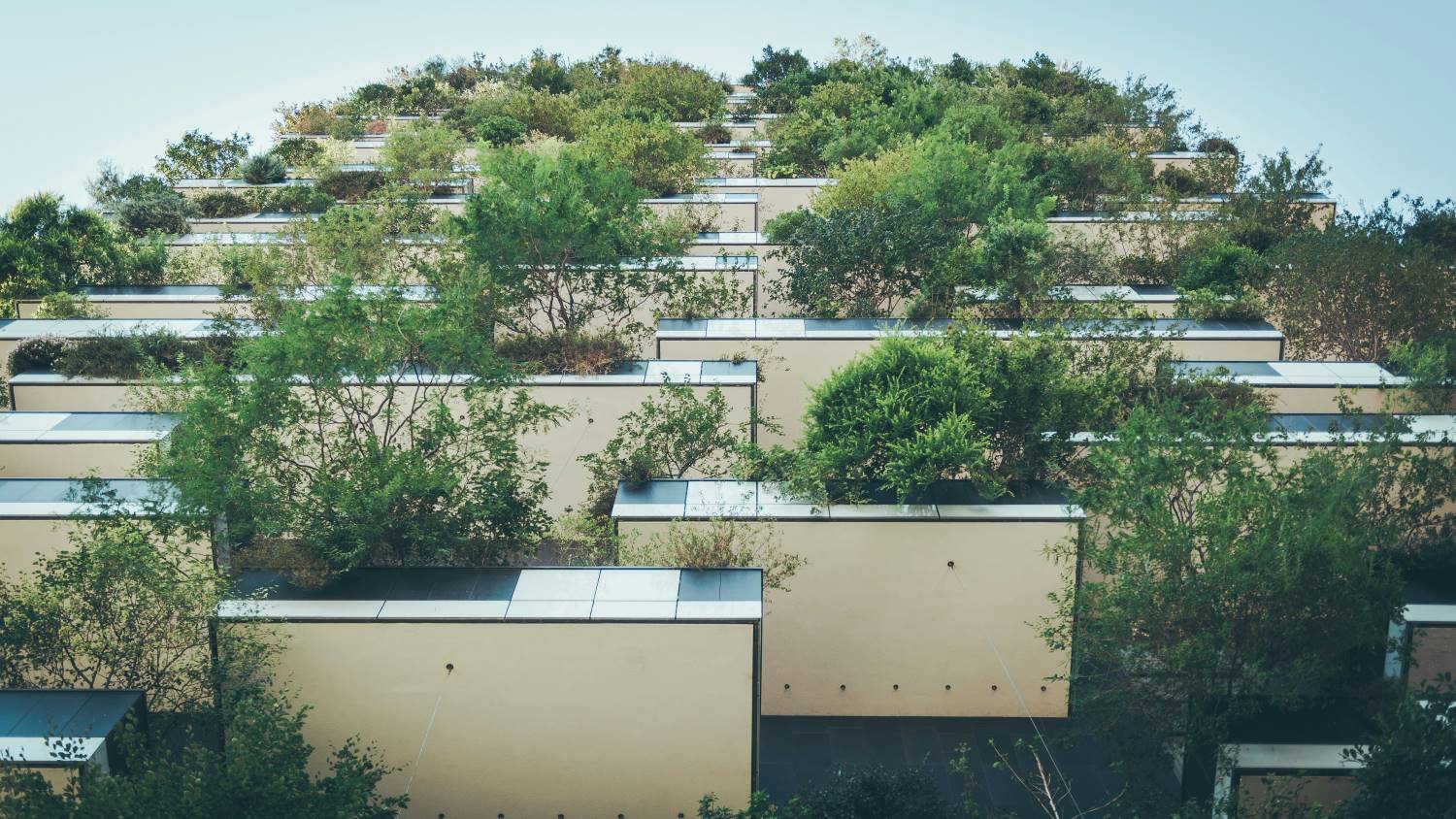 arquitectura saludable